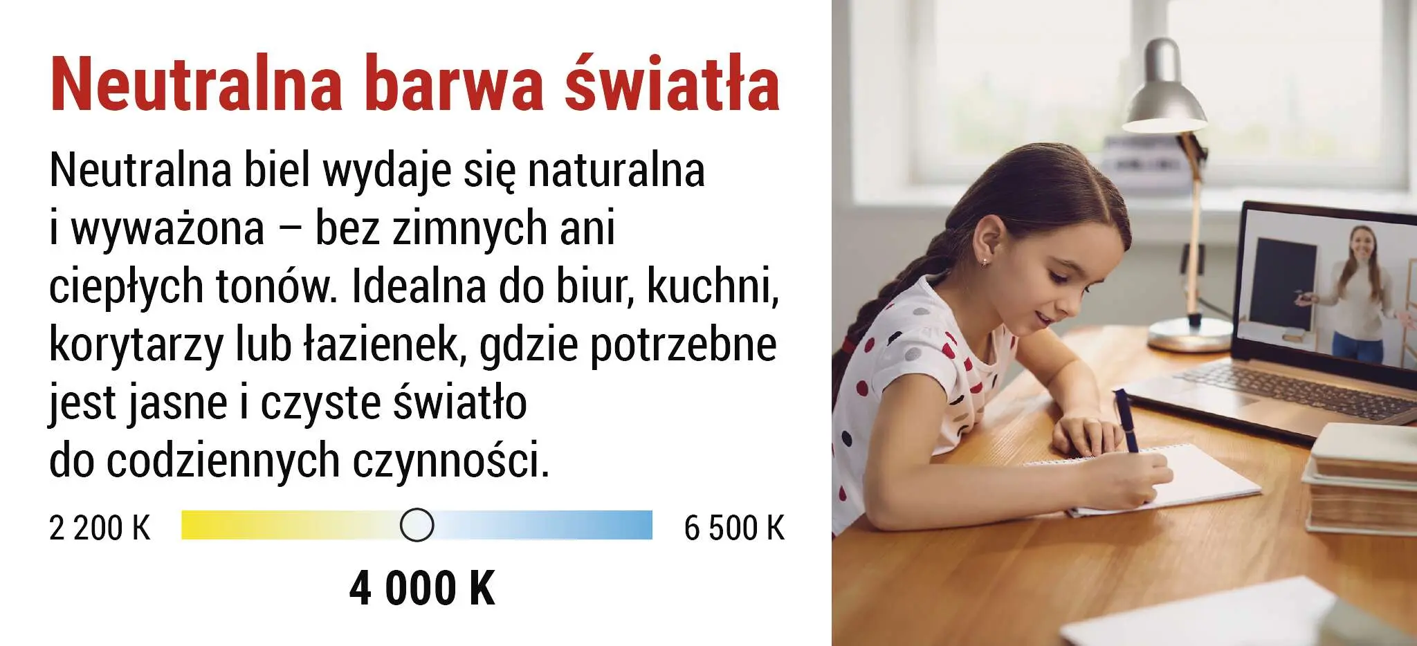 biały neutralny