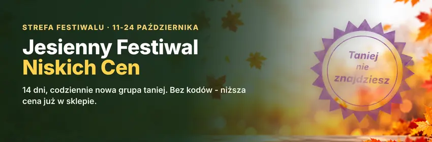 Strefa Festiwalu - Jesienny Festiwal Niskich Cen w Sklepie AVT