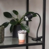 Lampka LED z klipsem czarna, 4 W, 320 lm, 4000 K, zasilanie 230V