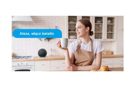 Przekaźnik WiFi z funkcją pomiaru zużycia prądu i mocy Sonoff POWR316 POW Origin