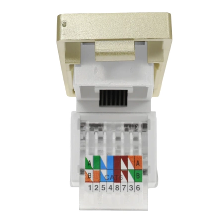 Moduł 1/2 - gniazdo RJ45 Ethernet Cat6 - złoty - kompatybilny z ramkami Tawoia Glass