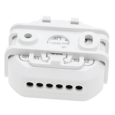 Inteligentny przekaźnik dopuszkowy WiFi + BLE, 2-kanałowy sterownik oświetlenia, Tawoia Smart Home