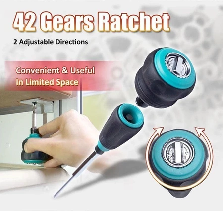 Uchwyt grzechotka z zestawem bitów 10w1 SD-9820 Proskit