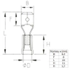Konektor płaski męski izolowany 6.3mm 0.8mm 4-6mm² - końcówka kablowa SGE