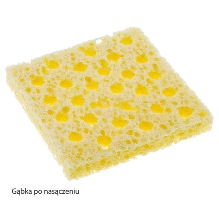 Gąbka do czyszczenia grotów 70x70mm wielootworowa