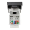Gniazdo RJ45 Ethernet Cat6 czarny, moduł 1/2 do ramki Tawoia Glass