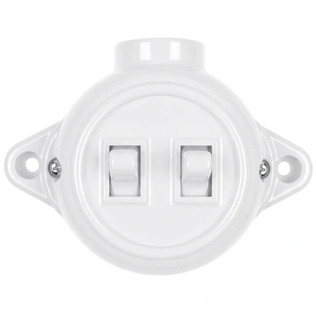 Włącznik podwójny dźwigniowy biały natynkowy - Retro PRL