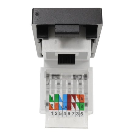 Gniazdo RJ45 Ethernet Cat6 czarny, moduł 1/2 do ramki Tawoia Glass