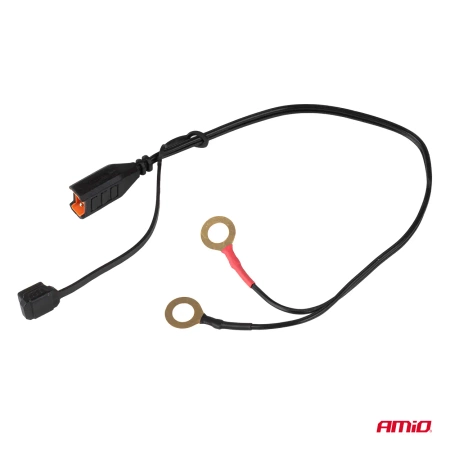 Prostownik AMiO cyfrowy AGM GEL STD LiFePo4 max 4A 6/12V PRO HOOK AMIO-04531