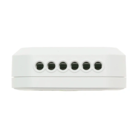 Inteligentny przekaźnik dopuszkowy WiFi + BLE, 2-kanałowy sterownik oświetlenia, Tawoia Smart Home