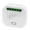 Inteligentny przekaźnik dopuszkowy WiFi + BLE, 2-kanałowy sterownik oświetlenia, Tawoia Smart Home