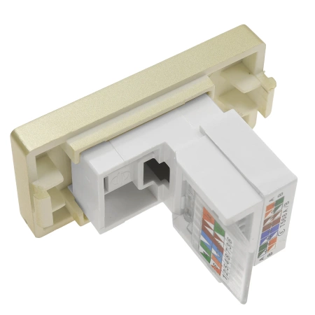Gniazdo RJ45 Ethernet Cat6 złoty, moduł 1/2 do ramki Tawoia Glass