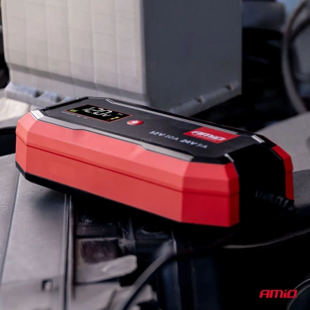 Prostownik cyfrowy AGM GEL STD LiFePo4 max 10A 6/12V PRO AMIO-04528