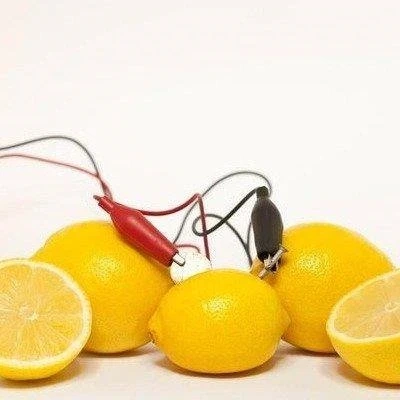 Przewód połączeniowy 40cm - konektor widełkowy-krokodylek - do budowy prostych obwodów elektrycznych