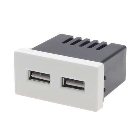 Włącznik światła + moduł ładowarki USB (2 gniazda USB 2,4A) z ramką szklaną podwójną - biały - Tawoia Glass